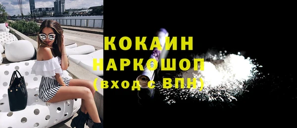 индика Алексин