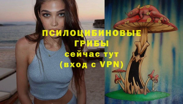 индика Алексин