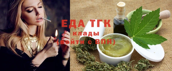 индика Алексин