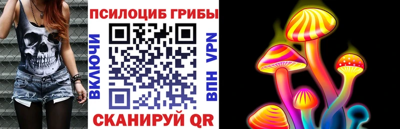 где продают   Щёлкино  shop формула  Псилоцибиновые грибы Psilocybine cubensis 